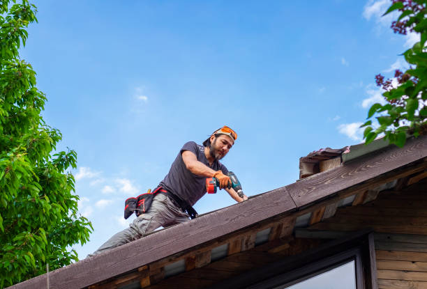 Best Gutter Installation and Repair  in Moreland Hills, OH